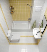 1288252232Bathroom3